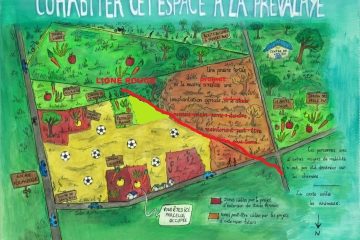 biodiversité en danger