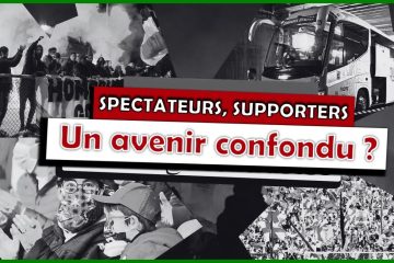 spectateur nantes